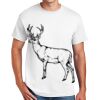 Copy of DryBlend ® 50 Cotton/50 Poly T Shirt Thumbnail