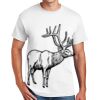 Copy of DryBlend ® 50 Cotton/50 Poly T Shirt Thumbnail