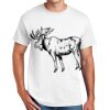 Copy of DryBlend ® 50 Cotton/50 Poly T Shirt Thumbnail