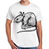Copy of DryBlend ® 50 Cotton/50 Poly T Shirt Thumbnail